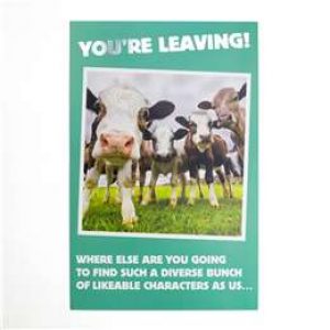 John Sands Large Funny You’re Leaving Card each
