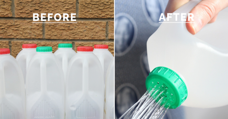 5 Ways to Reuse Plastic Bottles Main Image