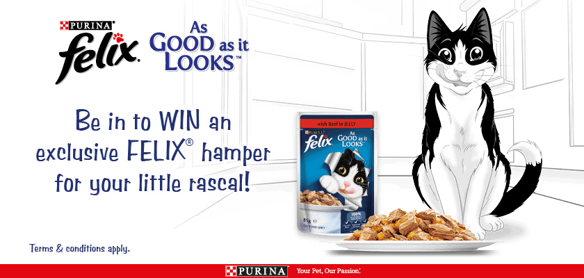 Purina Felix Review to Win Contest main image
