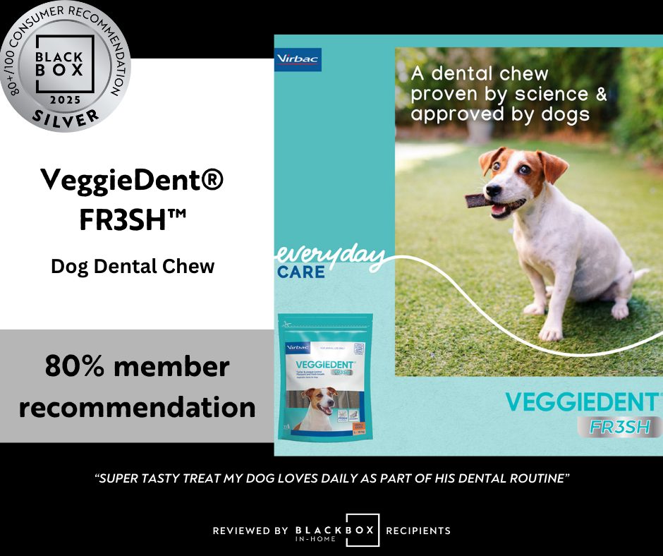 Silver Template 2025 (12)