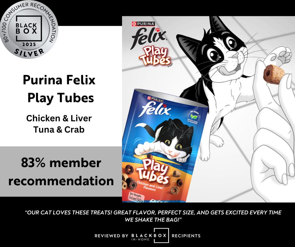 Silver Template 2025 (3)