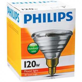 Philips Reflector Par38 Globe 120w Es Base each