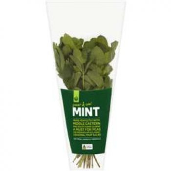 Mint Fresh Herb  bunch