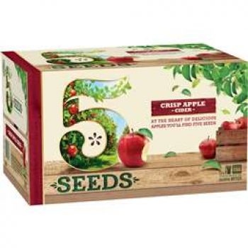 5 Seeds Crisp Apple Cider 24x345ml
