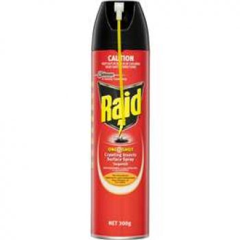 Raid One Shot Insect Spray Cik Target Kill 300g