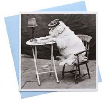 Camden Graphics Dog At Table each