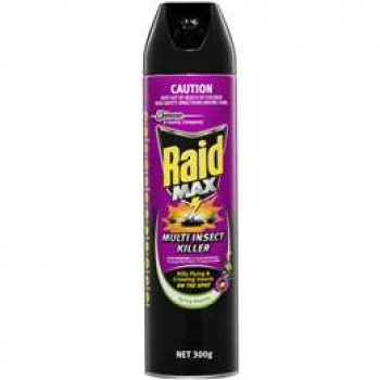 Raid Max Insect Spray  300g