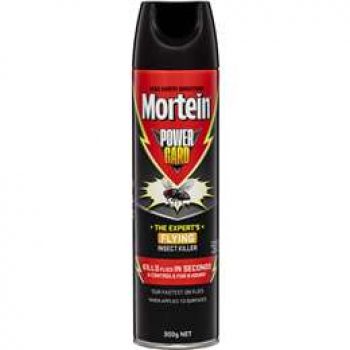 Mortein Powergard Flying Insect Killer Spray 300g