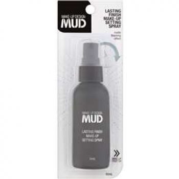 Mud Lasting Finish Setting Spray each