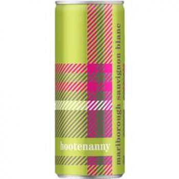 Hootenanny Sauvignon Blanc  250ml single