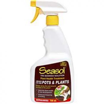 Seasol Pots & Planters Plant Health Treatment Ready To Use 750ml