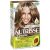 Garnier Nutrisse Hair Colour 6.3 Praline each