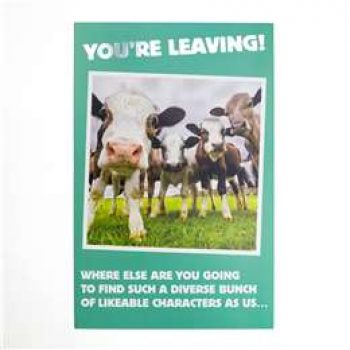 John Sands Large Funny You’re Leaving Card each