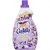 Cuddly Fabric Softner Aroma Relaxing Wild Lavender 900ml
