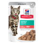 Hill’s Science Diet Adult Perfect Weight with Salmon Cat Food