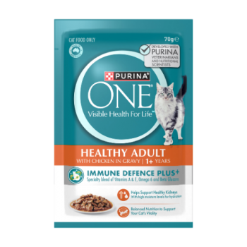 Purina ONE Healthy Adult Wet Cat Food with Chicken