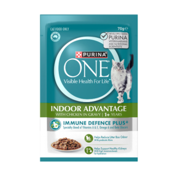 Purina ONE Indoor Advantage Wet Cat Food with Chicken