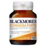 Blackmores Echinacea Forte 40 Tablets