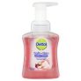 Dettol Hand Foam Rose & Cherry 250mL Antibacterial Wash