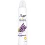 Dove For Women Antiperspirant Lavender Rose Water 250ml