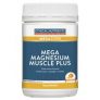 Ethical Nutrients Megazorb Mega Magnesium Muscle Plus 135g