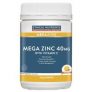 Ethical Nutrients MEGAZORB Mega Zinc Powder 40mg (Orange) 190g