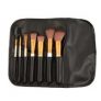 My Beauty Tools Cosmetic Brush Kit 8 Piece with Bag