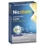 Nicabate Extra Fresh Mint Gum Quit Smoking 4mg 30 pieces