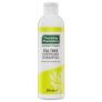 Thursday Plantation Tea Tree Everyday Shampoo 250ml